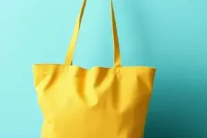 Bolsa Família e Tarifa Social