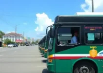 ônibus grátis