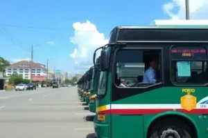 ônibus grátis