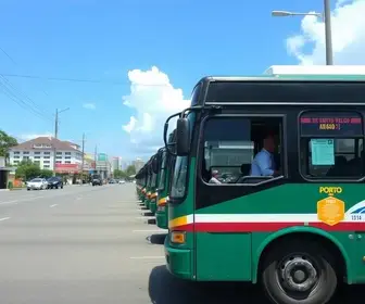 ônibus grátis